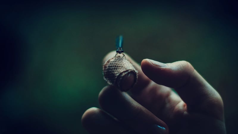 Firefly Send-off